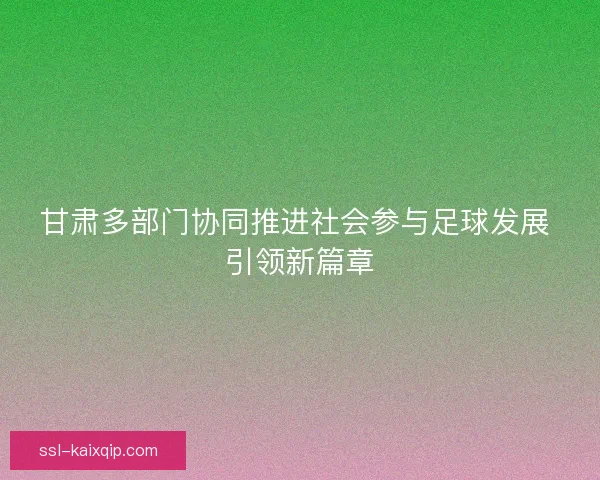 甘肃多部门协同推进社会参与足球发展 引领新篇章